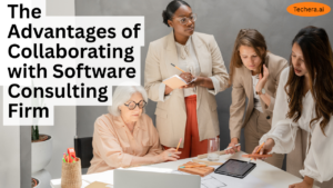 software consulting firm