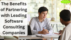 software consulting companies