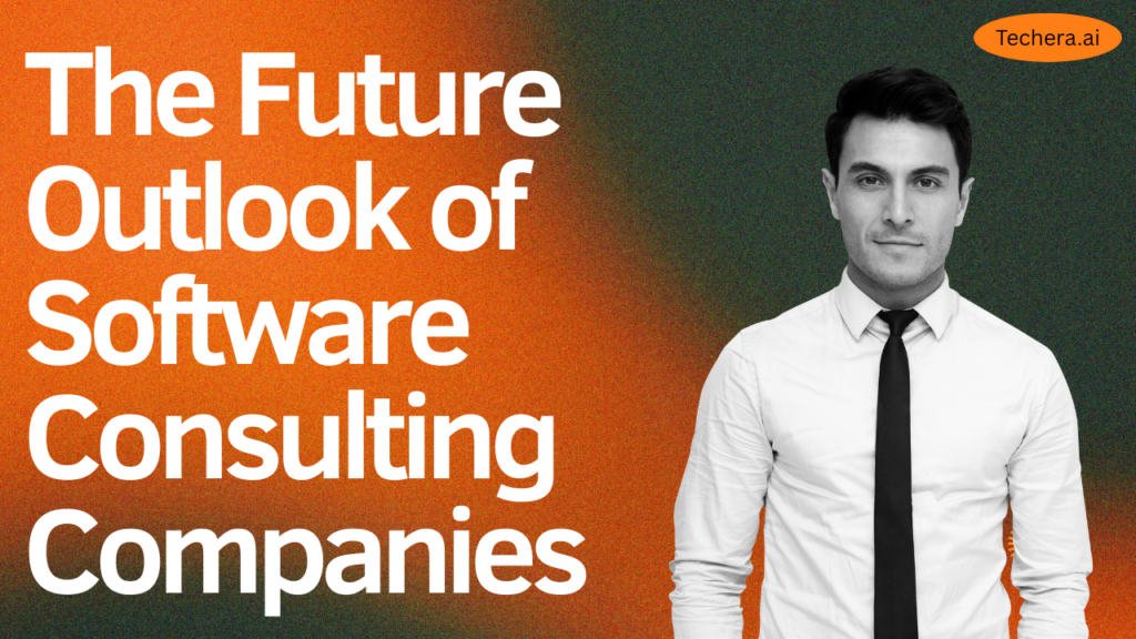 Software Consulting Companies
