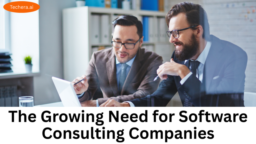 software consulting companies