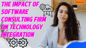 software consulting firm