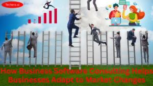 Business Software Consulting