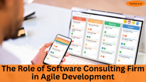software consulting firm