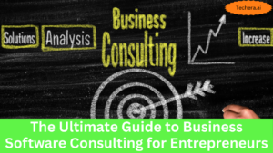 Business software consulting