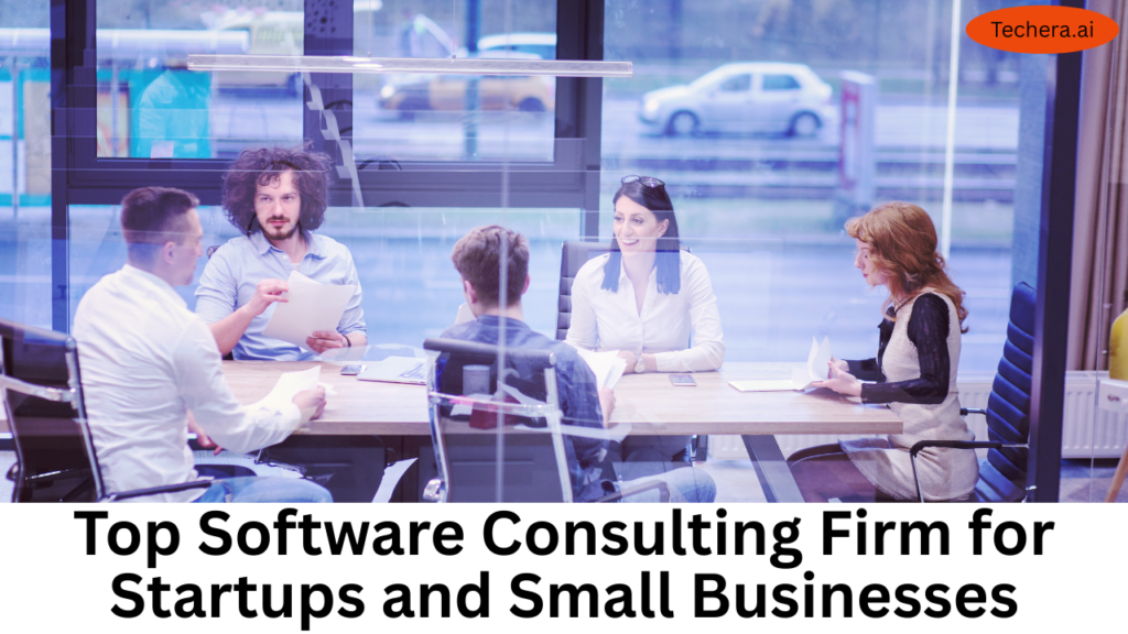 software consulting firm