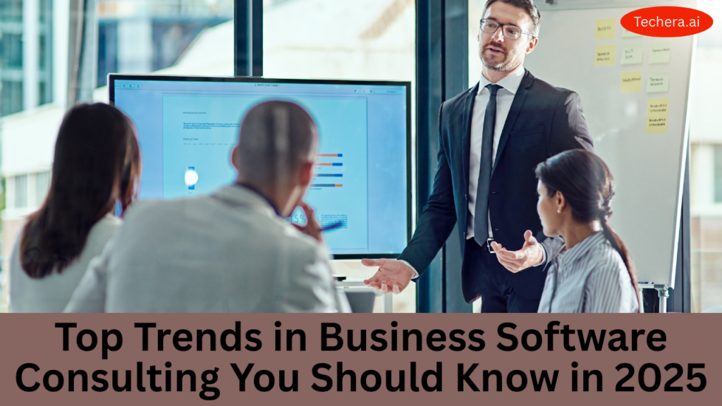 Business software consulting