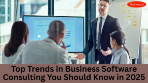 Business software consulting