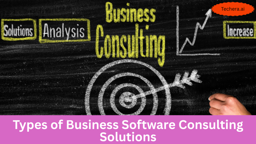 Business software consulting