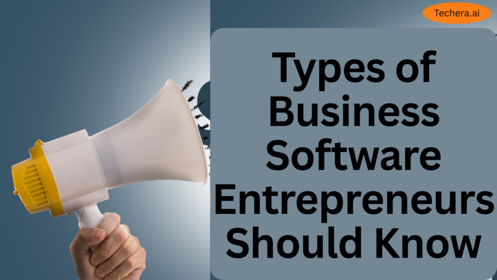 Business software consulting