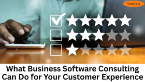 Business Software Consulting