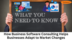 Business Software Consulting