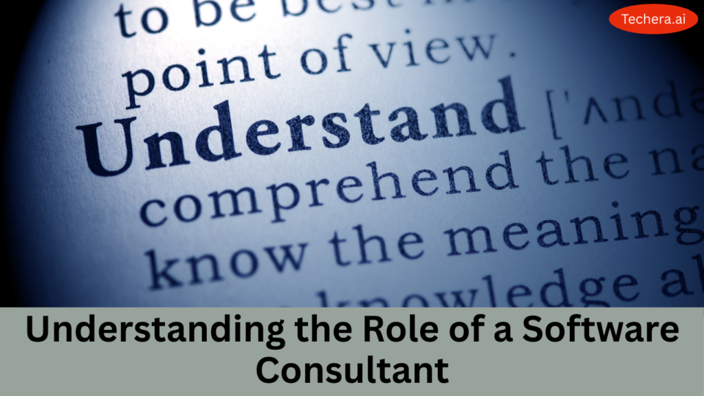 What is Software Consulting
