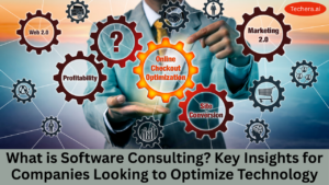What is Software Consulting