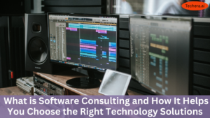 what is software consulting
