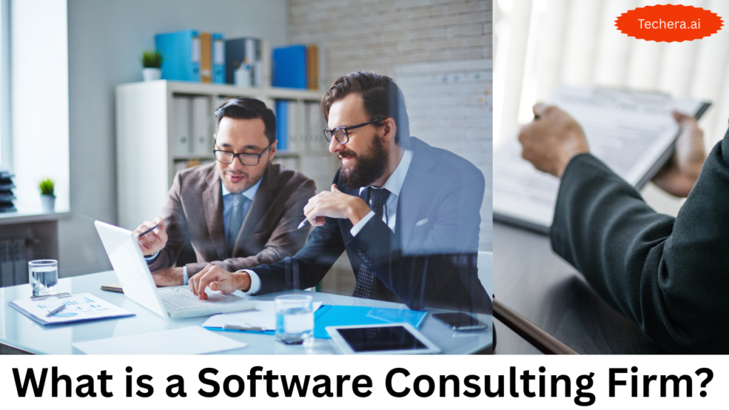 software consulting firm