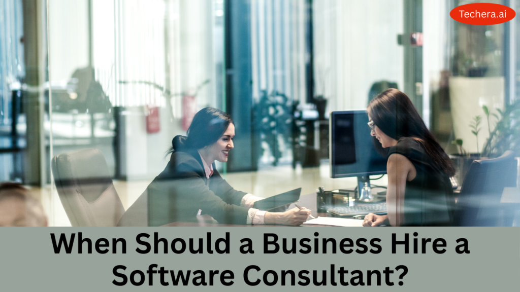 what is software consulting