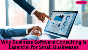 Business software consulting