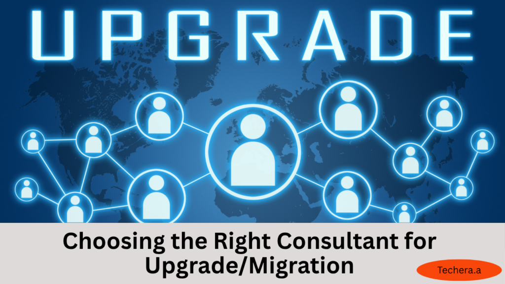 What is software consulting