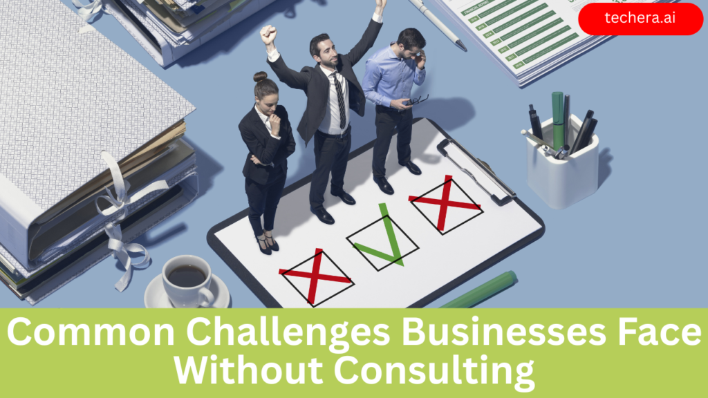 What is software consulting