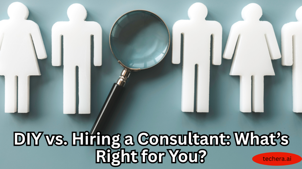 What is software consulting
