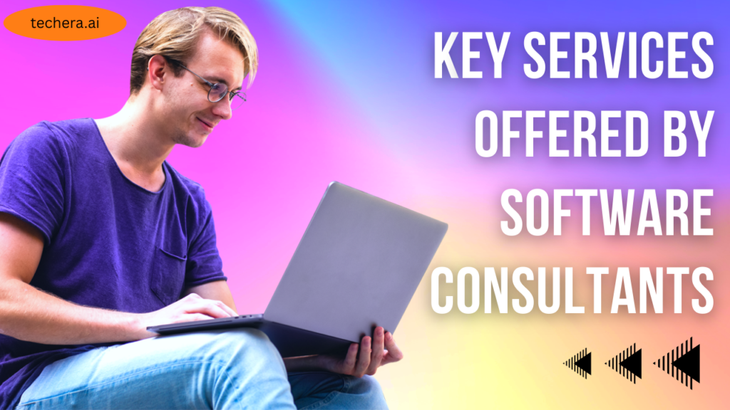 what is software consulting