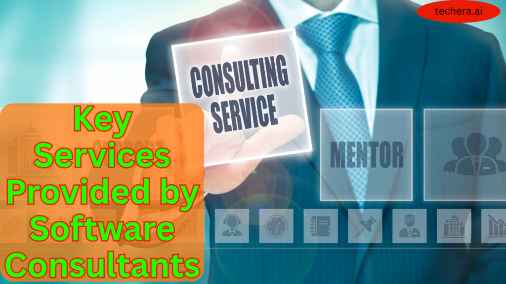 What is software consulting