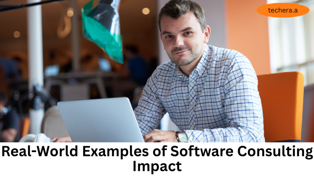 What is software consulting