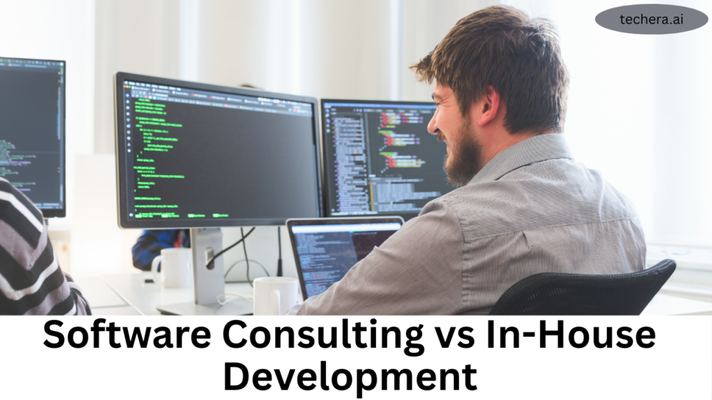 what is software consulting