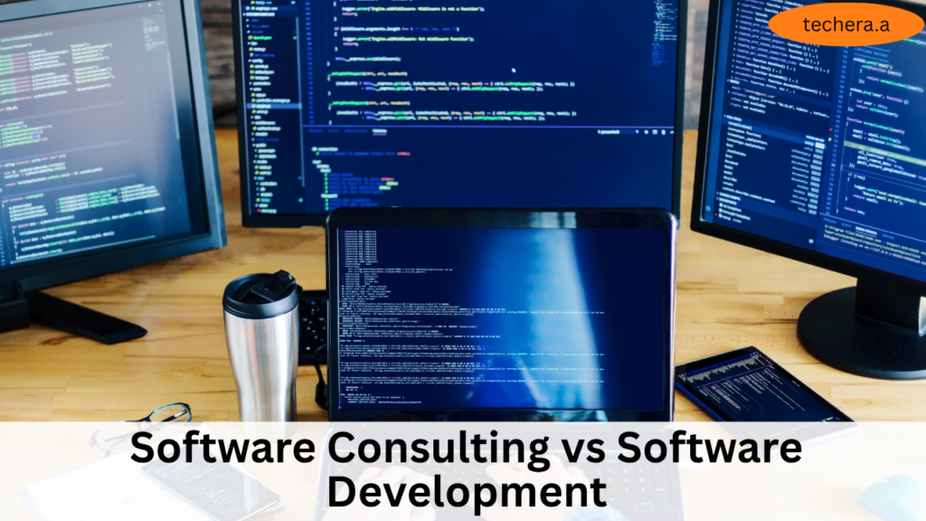 What is software consulting