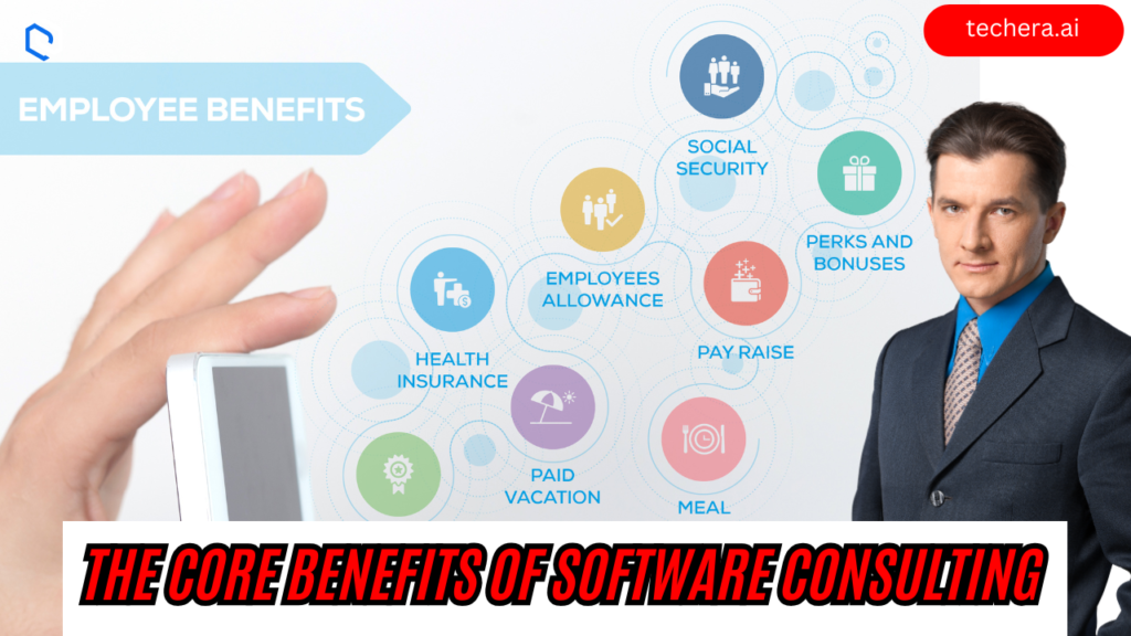 What is software consulting