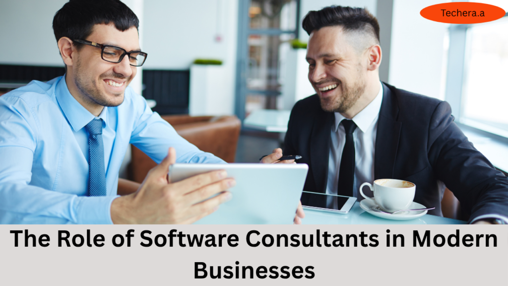 What is software consulting