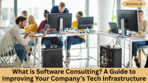 What is software consulting