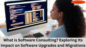 What is software consulting
