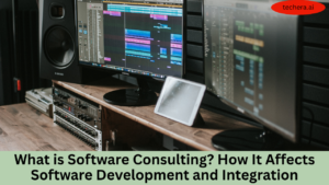 What is software consulting