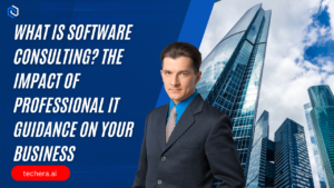 What is software consulting