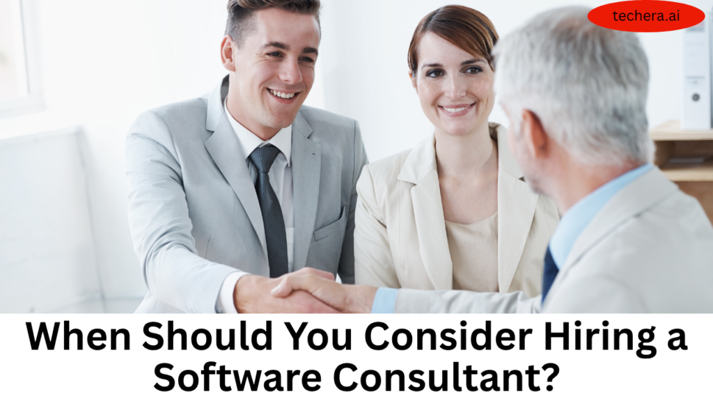 What is software consulting