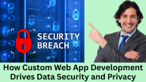 Custom web app development