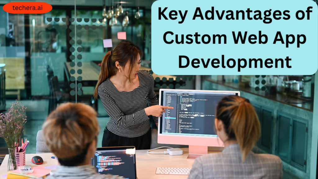 Custom web app development