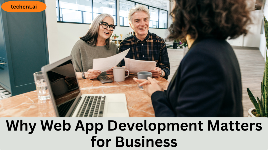 What is Web App Development