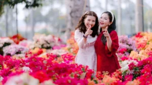 smava Kreditpartnerprogramm DE