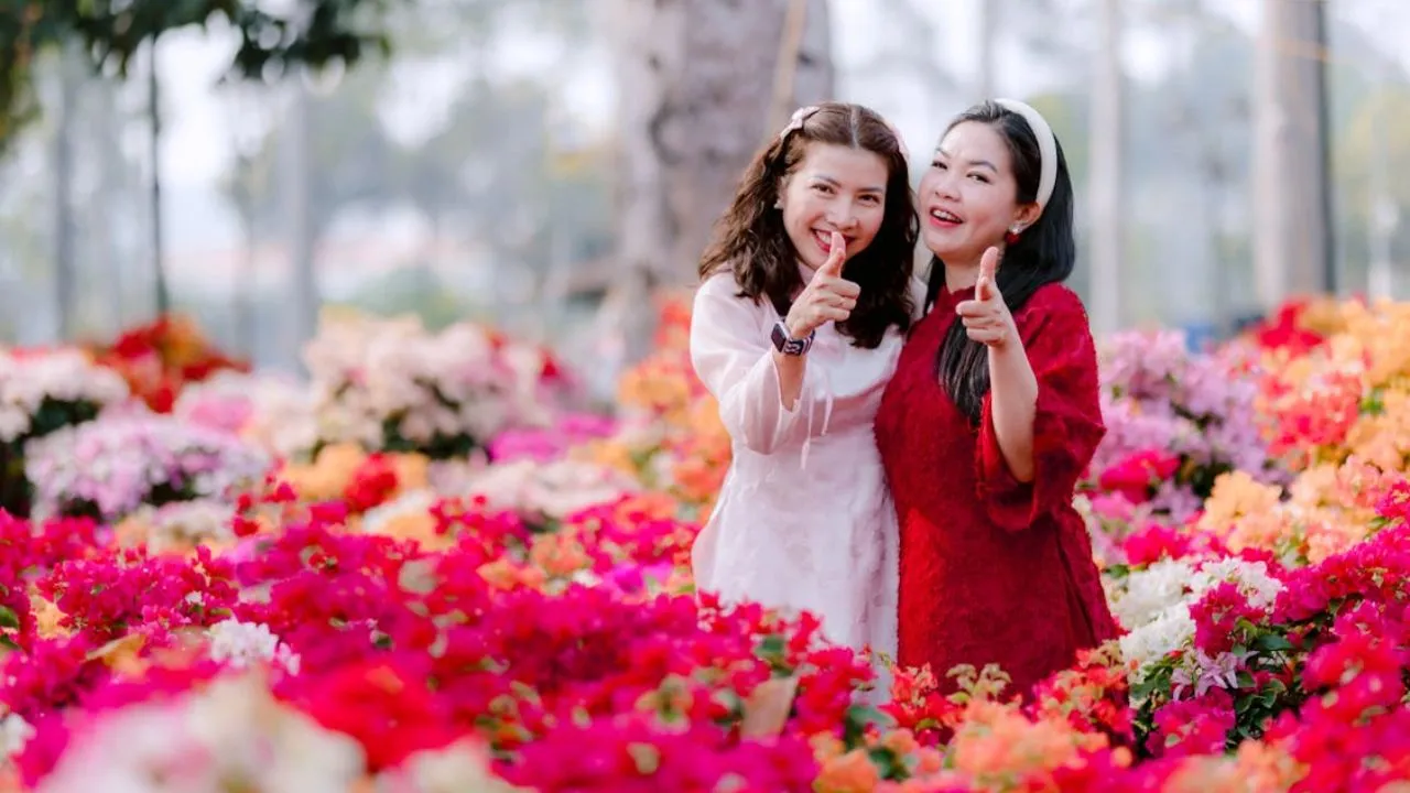 smava Kreditpartnerprogramm DE