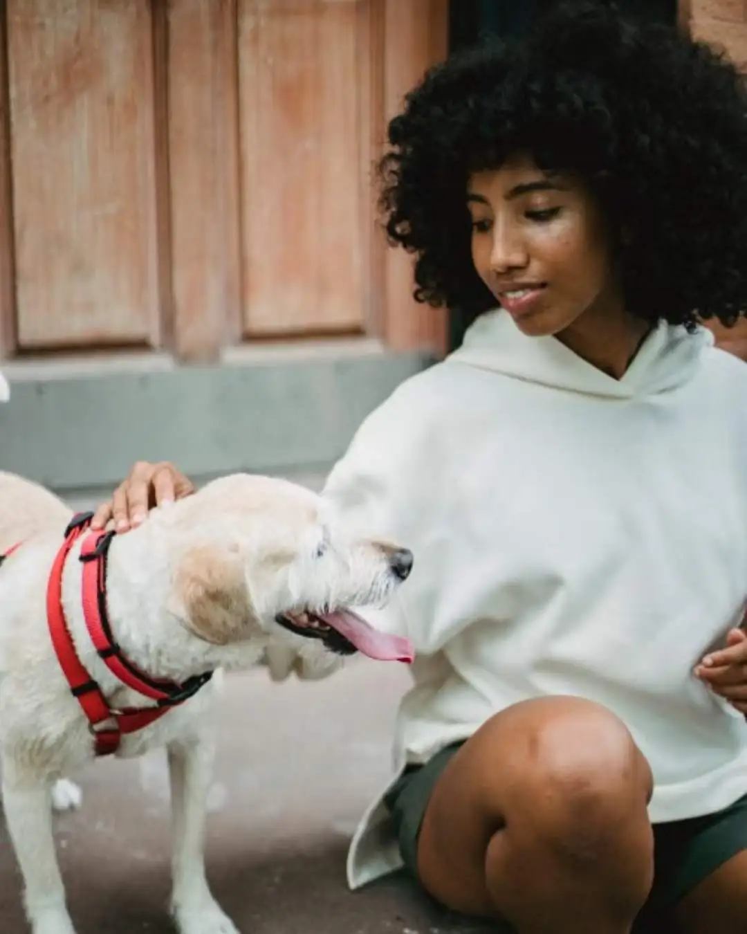 Pets Best Pet Insurance